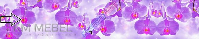 Скинали с фотопечатью №103
