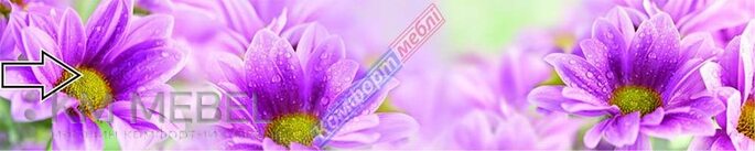 Скинали с фотопечатью №113