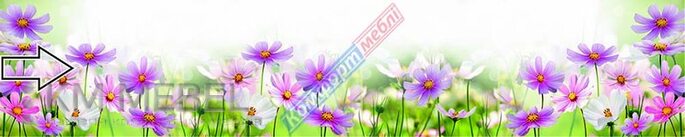 Скинали с фотопечатью №114