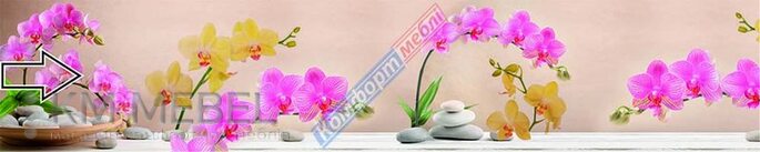 Скинали с фотопечатью №104