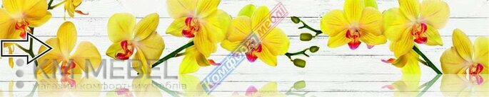Скинали с фотопечатью №106