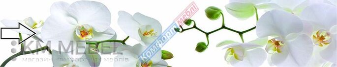 Скинали с фотопечатью №105