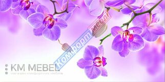 Цветной рисунок №77
