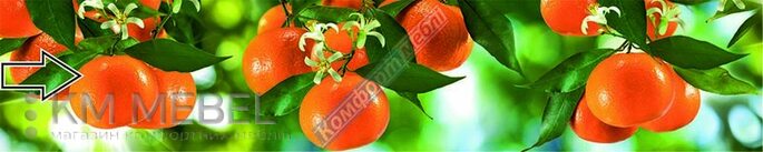 Скинали с фотопечатью №129