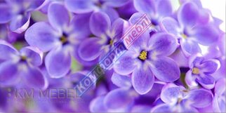 Цветной рисунок №80